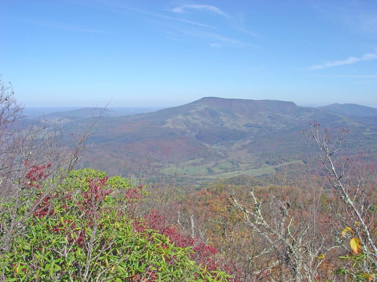 Park Photo