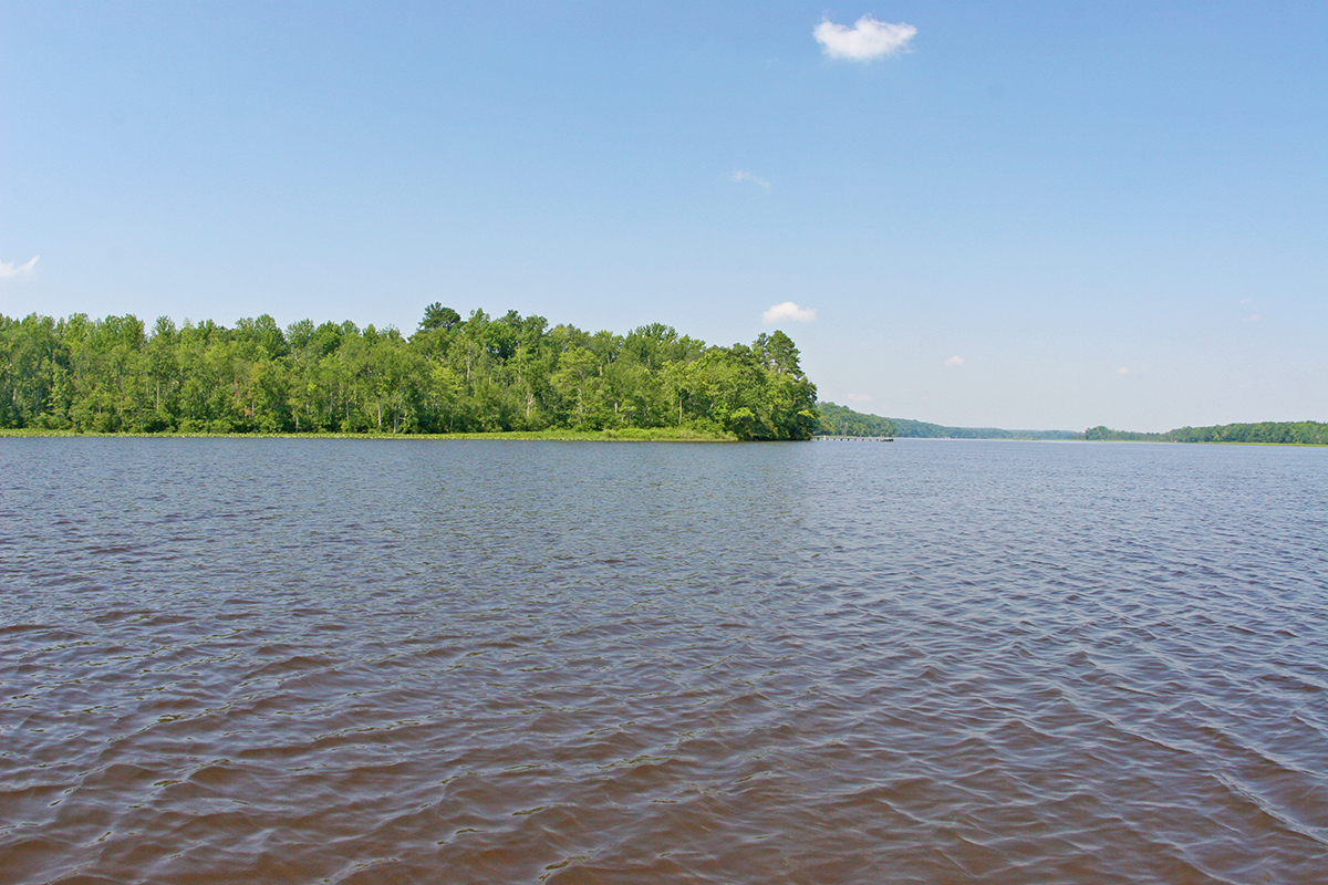Park Photo