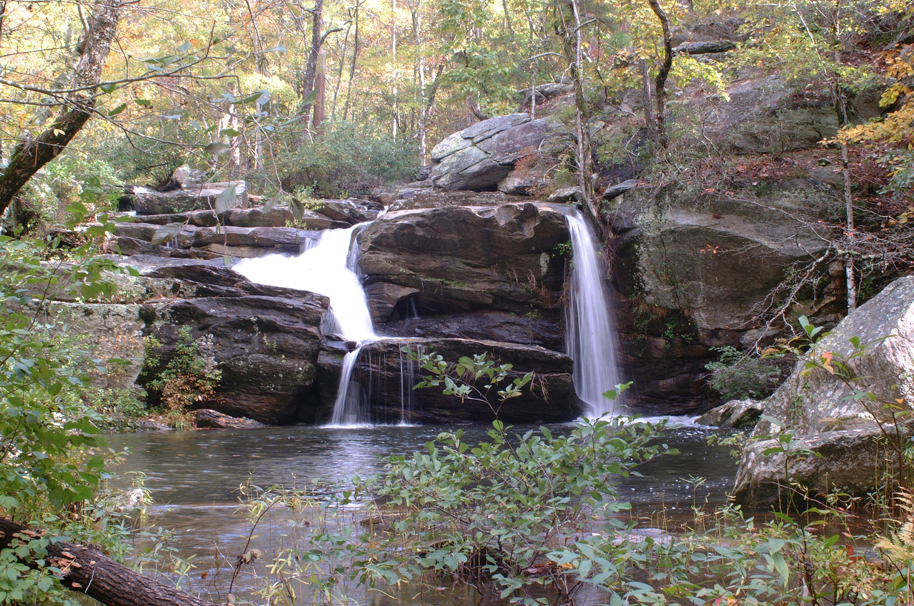 Park Photo