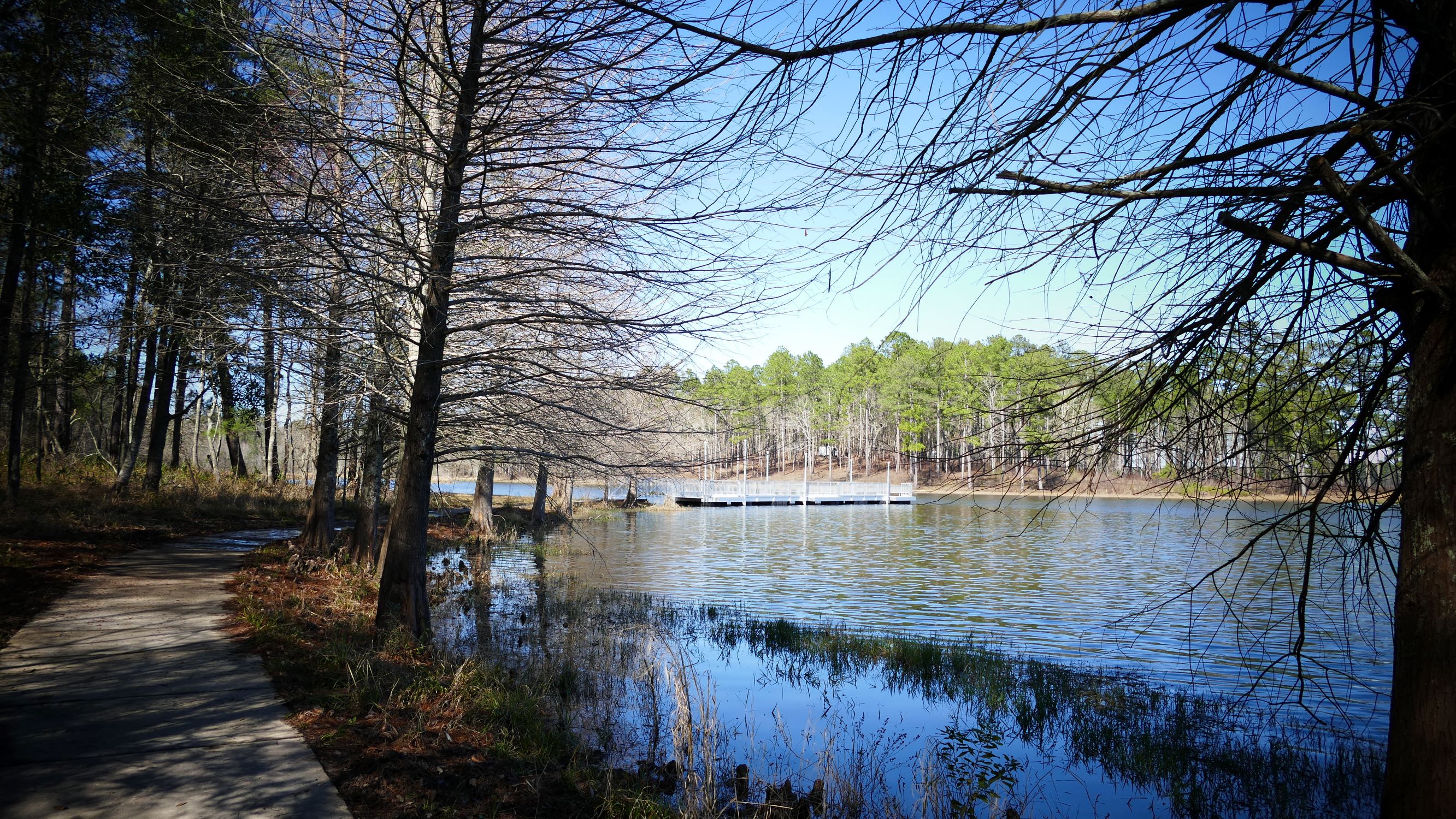 Park Photo