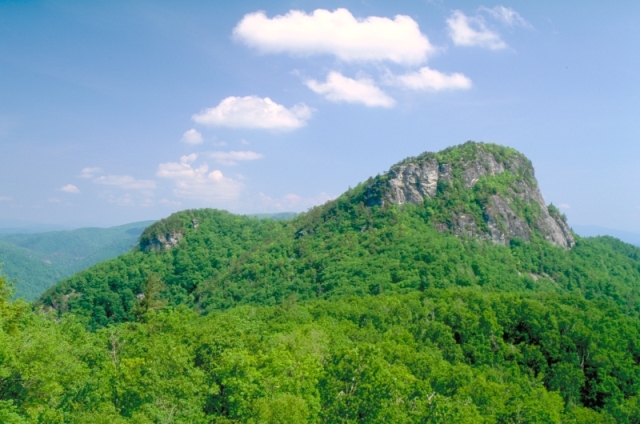 Uwharrie National Forest
