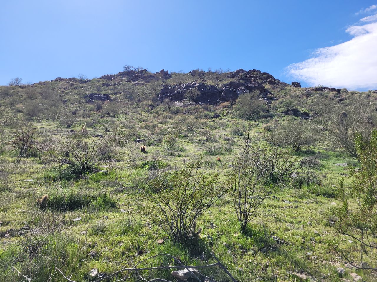 South Mountain