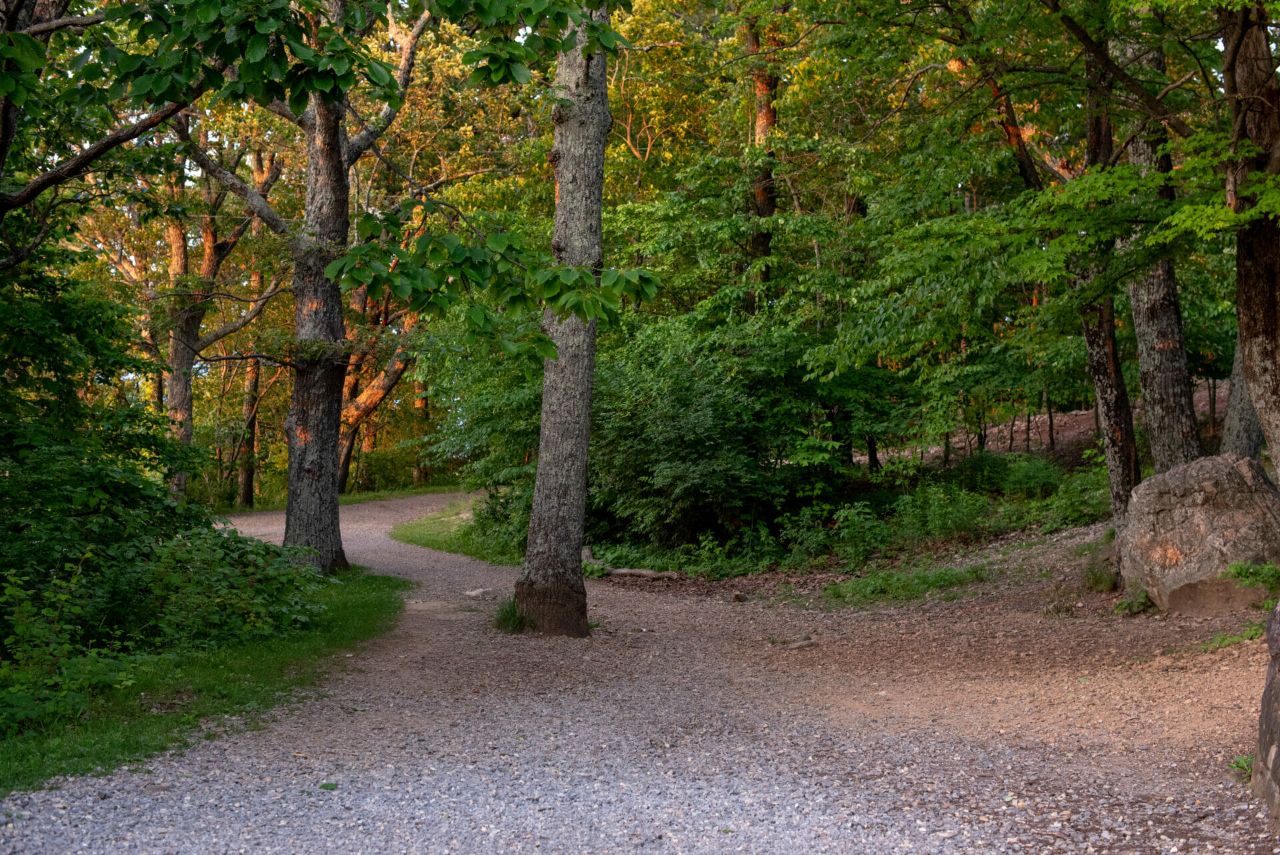Park Photo