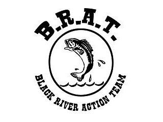 Black River Action Team logo