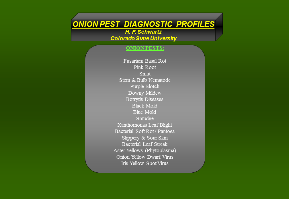 Bugwood Presents - Onion Disease Diagnostics - Part I