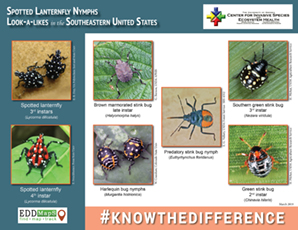 Resource Database Resource Db