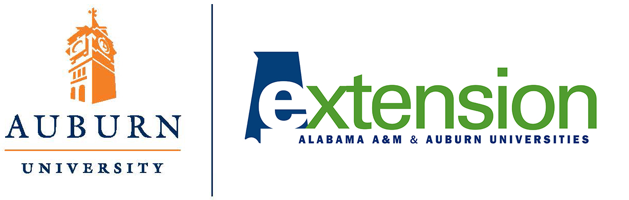 author logo