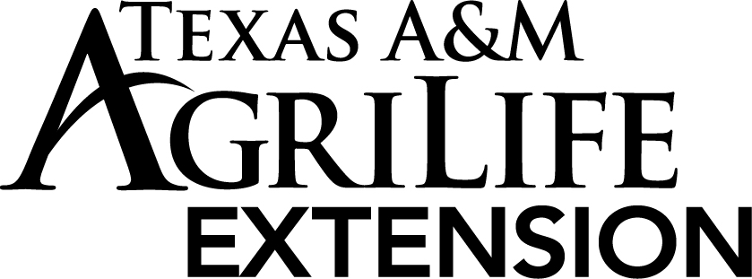author logo