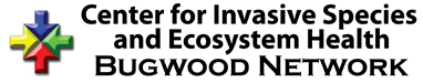 author logo