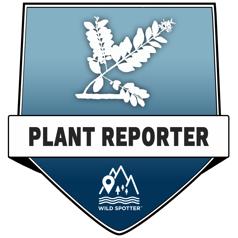 Color/Plant_Reporter.png
