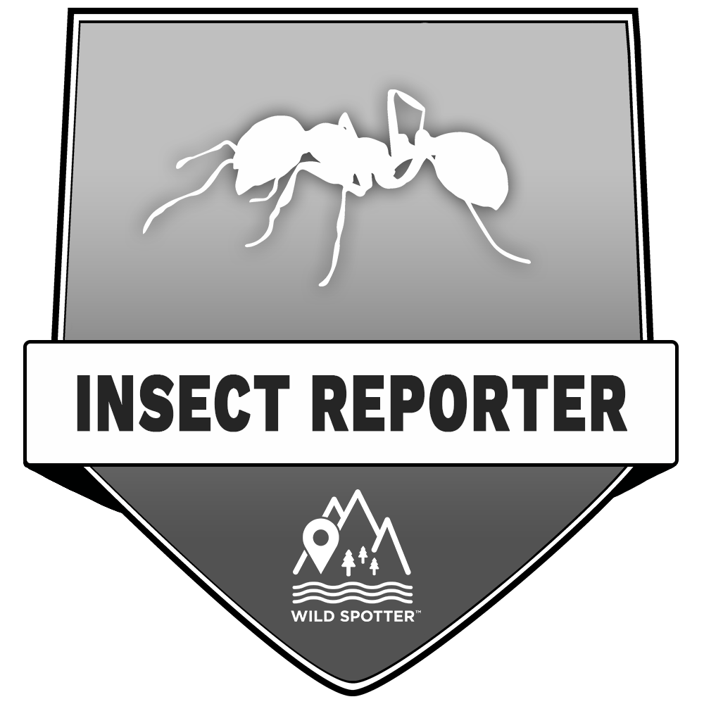 Greyscale/Insect_Reporter.png