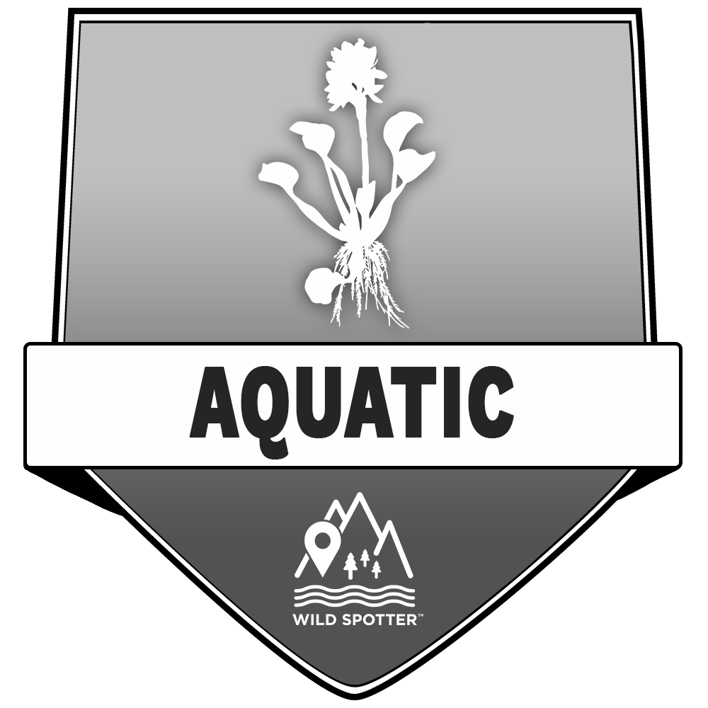 Greyscale/Plant_aquatic.png