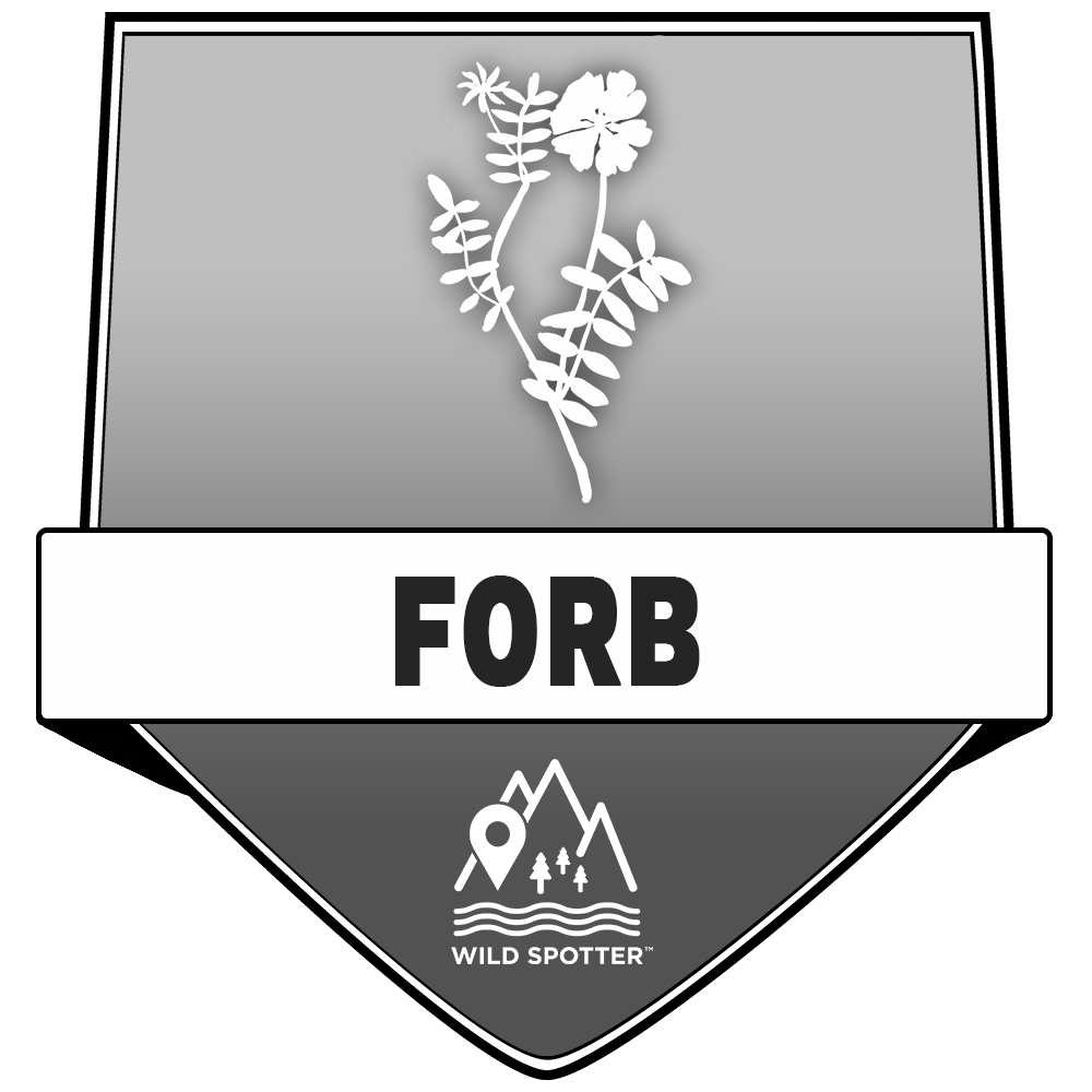 Greyscale/Plant_forb.png