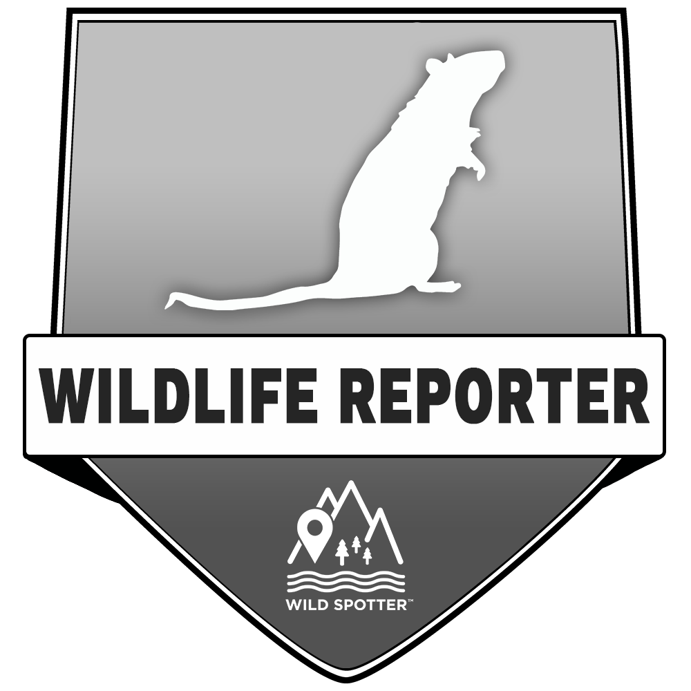 Greyscale/Wildlife_Reporter.png